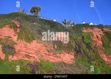 Scogliere di arenaria rossa accanto alla linea ferroviaria costiera a Dawlish, South Devon, che mostrano case e giardini vicino al bordo della scogliera. Foto Stock