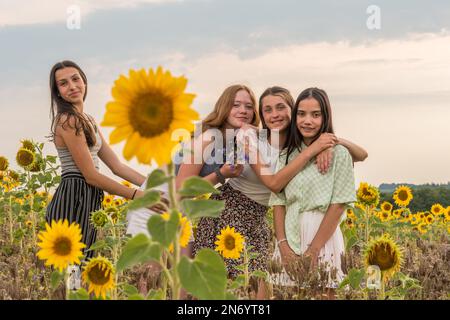 Quattro ragazze adolescenti in un campo di girasoli in un tardo pomeriggio estivo, con un grande fiore di girasoli in primo piano, copia spazio Foto Stock