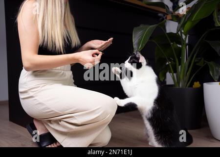 donna proprietario animale domestico che alimenta gatto. giovane donna caucasica che si inginocchia sul pavimento dando snack al gatto affamato tuxedo Foto Stock