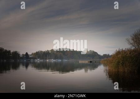 Schlei, natura, nessuna gente, autunno, Missunde, Schleswig-Holstein, Germania Foto Stock