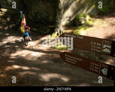 E-mountain biker su sentiero unico nel Mullerthal vicino Berdorf. Tipico per i sentieri naturalistici del Mullerthal: scale, scale, scale. Una breve sezione qui conduce anche sopra il sentiero escursionistico 'Mullerthal Trail' - estrema considerazione per gli escursionisti è richiesta qui! Il Mullerthal è stata la prima regione del Lussemburgo ad essere sistematicamente dotata di indicazioni armonizzate con i nomi delle località. Perfetto se viaggiate senza un piano. Foto Stock