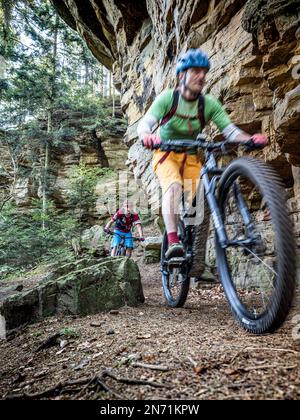 E-mountain biker su pista unica nel Mullerthal. Stretto sentiero roccioso sul ripido pendio lungo la valle del Sauer in direzione di Berdorf. Per i buoni ciclisti facile da guidare, per i principianti borderline, perché stretto, parzialmente esposto e disseminato di pietre e massi. Sotto scorre il fiume di confine Sauer, sull'altro lato è la parte tedesca del Müllertal. Foto Stock