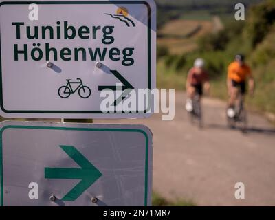 Ciclisti su vialetti vignaioli a Tuniberg - sulla pista ciclabile Tuniberg Höhenweg tra Gottenheim e Merdingen, contea di Breisgau-Hochschwarzwald, Baden-Württemberg, Germania. Foto Stock