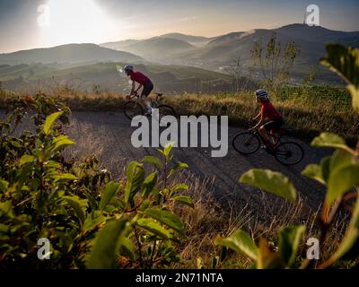 Curve, serpentine e terrazze di vigneti a Mondhalde, Kaiserstuhl Foto Stock