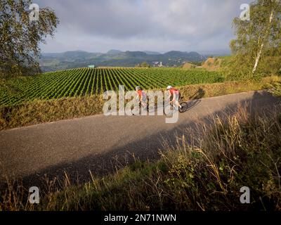 Curve, serpentine e terrazze di vigneti a Mondhalde, Kaiserstuhl Foto Stock