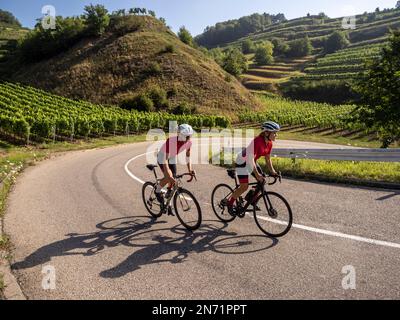 Curve, serpentine e terrazze di vigneti a Texaspass, Kaiserstuhl Foto Stock