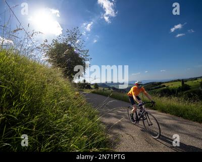 Ciclista stradale sulla strada laterale verso Horben / Breisgau Hochschwarzwald. Attraversa il Katzental. Sullo sfondo verso Kaiserstuhl Foto Stock