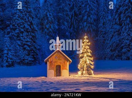 Illuminato albero di Natale di fronte una cappella in inverno, Baviera, Baviera, Germania, Europa Foto Stock