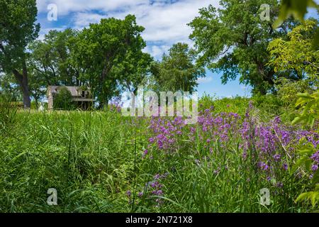 Pryor, MT, USA, 24 giugno 2022: Pryor, MT, USA, 24 giugno 2022: Il Chief Plenty Cups state Park, ex sede dell'ultimo Crow Chief, si trova vicino a Billings. L'ho Foto Stock