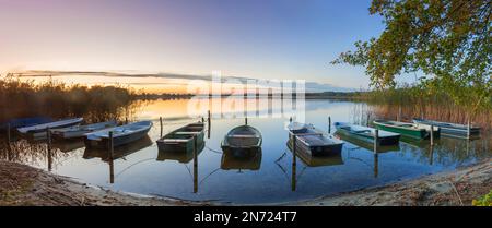 Barche a remi / barche a remi sulla riva del lago Mechow / Große Mechowsee al tramonto vicino Feldberg in autunno / autunno, Meclemburgo-Vorpommern, Germania Foto Stock