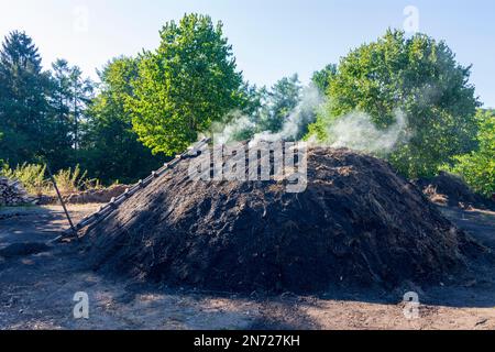 Lembach, dimostrazione forno a carbone in Alsazia (Elsass), basso Reno (Unterelsass), Francia Foto Stock