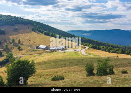 Vosges (Vogesen) Montagne, Agriturismo ferme Auberge du Haag a col du Haag, Vosges (Vogesen) Montagne in Alsazia (Elsass), Alto Reno (Oberelsass), Francia Foto Stock