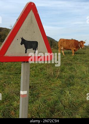 SEGNO DELLA MUCCA Foto Stock