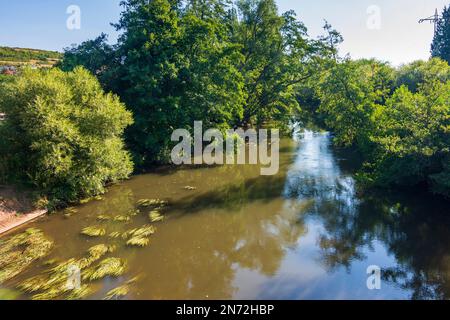 Reinheim, fiume Blies a Bliesgau, Saarland, Germania Foto Stock