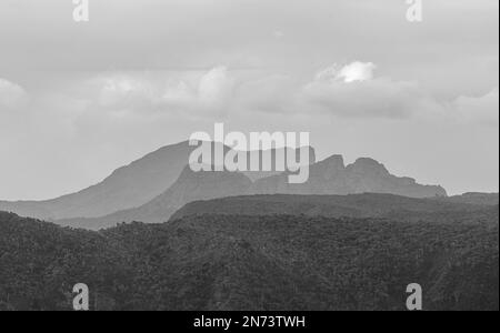 Vista panoramica del Black River Gorges National Park, Gorges Viewpoint a Mauritius. Si estende su un'area di 67,54 km che comprende una foresta umida di altopiano, una foresta di pianura più secca e un'brughiera paludosa. Foto Stock