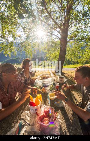 Vosges (Vogesen) Montagne, famiglia a pick-nick tavola mangiare in Alsazia (Elsass), Alto Reno (Oberelsass), Francia Foto Stock