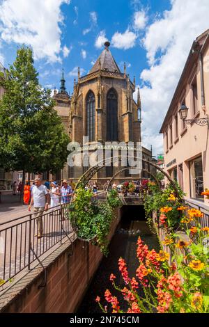 Colmar (Colmer, Kolmar), la collégiale Saint-Martin (chiesa collegiata di Saint-Martin) nel centro storico, Rue de l'Eglise, torrente Mühlbach in Alsazia (Elsass), Alto Reno (Oberelsass), Francia Foto Stock