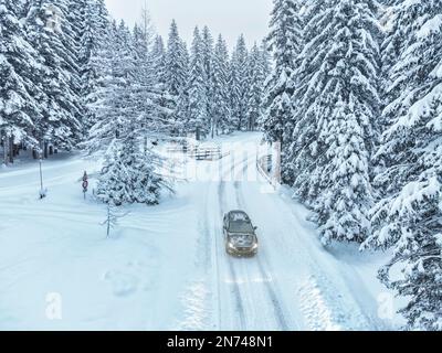 Italia, Veneto, Belluno, auto d'incrocio in inverno su una strada innevata attraverso una foresta di abeti, Dolomiti Foto Stock