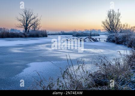 Laghi ghiacciati nell'Elbtalaue vicino a Bleckede/Garlstorf in bassa Sassonia la mattina durante il gelo pesante Foto Stock