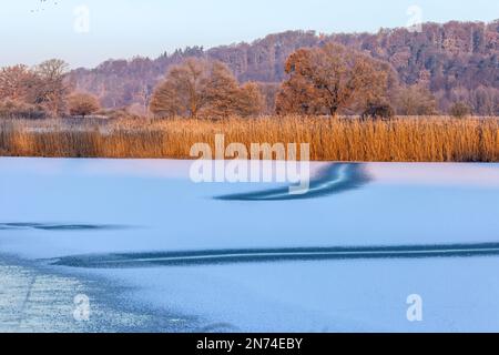 Laghi ghiacciati nell'Elbtalaue vicino a Bleckede/Garlstorf in bassa Sassonia la mattina durante il gelo pesante Foto Stock