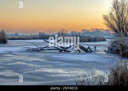 Laghi ghiacciati nell'Elbtalaue vicino a Bleckede/Garlstorf in bassa Sassonia la mattina durante il gelo pesante Foto Stock