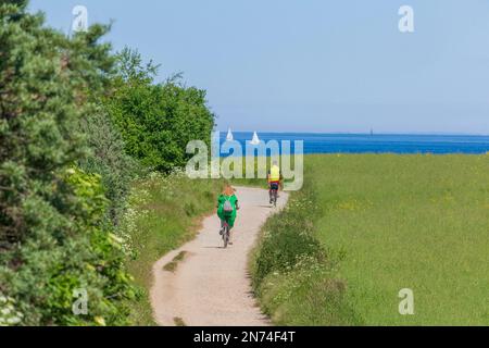 Brodtener Ufer Cliff, baia di Lübeck, Mar Baltico, Travemünde, Lübeck, Schleswig-Holstein, Germania, Europa Foto Stock