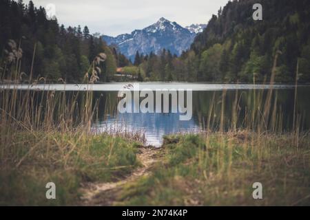 Sentiero sulle rive di un lago di montagna limpido a Allgäu, Alatsee, Baviera, Germania Foto Stock