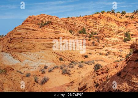 Formazioni rocciose lungo il percorso del Wire Pass nello Utah meridionale Foto Stock