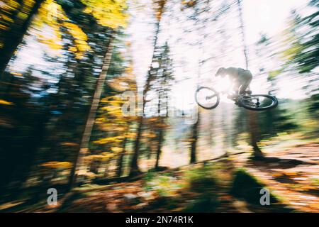 Mountain Biker nelle foreste intorno a Kaufbeuren, Baviera, Allgäu, Germania Foto Stock