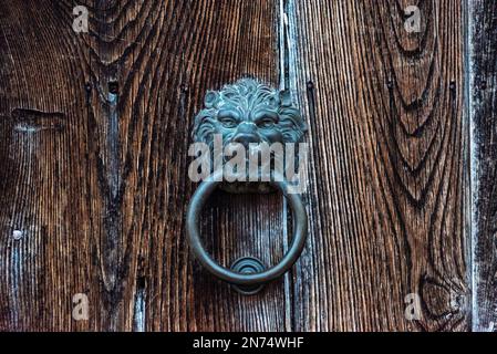 Bussare alla porta in vecchio stile a forma di leone testa da qualche parte su una porta nel centro di Matera, Italia Foto Stock