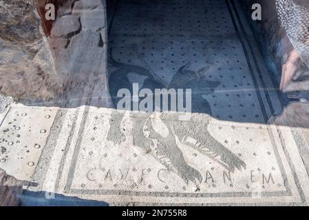 Famoso mosaico da pavimento di un cane e la citazione Cave Canem a Pompei, Italia Meridionale Foto Stock