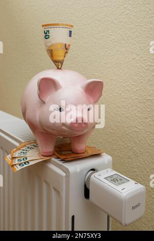 Rosa piggy banca con 50 euro fatture su Heizköper, WLAN radiatore termostato FRITZ! DECT 302, il display visualizza 19 °C., immagine simbolo, risparmio energetico, e Foto Stock