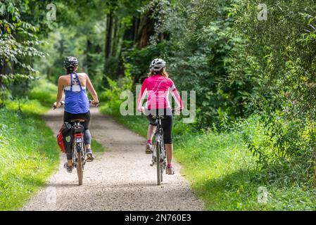 Germania, Baviera, pista ciclabile di Isar, tour ciclistico da Freising a Moosburg attraverso le pianure alluvionali di Isar Foto Stock