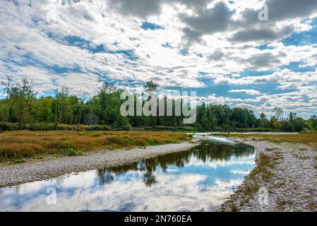 Germania, Baviera, pista ciclabile di Isar, tour in bicicletta da Freising a Moosburg attraverso le pianure alluvionali di Isar, riserva naturale delle pianure alluvionali di Isar Foto Stock