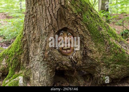 Germania, Renania-Palatinato, Mainz-Bingen County, Bingen sul Reno, Escursionismo, albero Spirits Tour Foto Stock