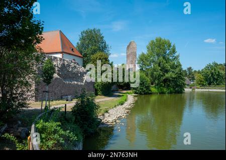 Germania, Assia, Dreieichenhain, centro storico di Dreieichenhain, castello di Hayn, Rovine del castello a Dreieichenhain, stagno del castello Foto Stock
