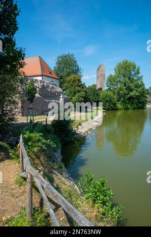 Germania, Assia, Dreieichenhain, centro storico di Dreieichenhain, castello di Hayn, Rovine del castello a Dreieichenhain, stagno del castello Foto Stock