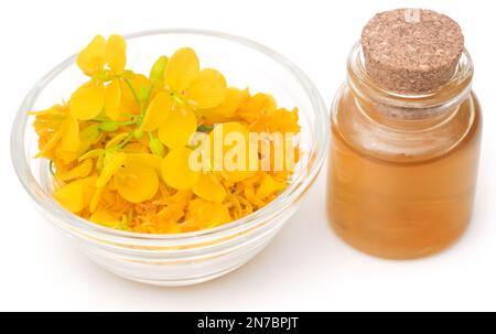 Primo piano di fiori di senape con olio in bottiglia su fondo bianco Foto Stock