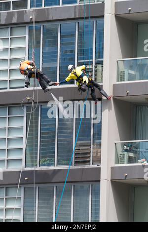 Persone che lavorano insieme per pulire e spruzzare le pareti indossando dpi e dispositivi di sicurezza a Melbourne Australia. Foto Stock