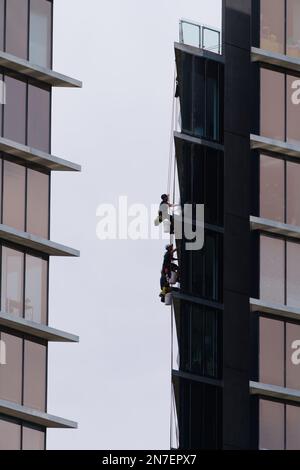 Persone che lavorano insieme all'aperto pulendo le finestre su edifici alti a Melbourne Australia. Foto Stock