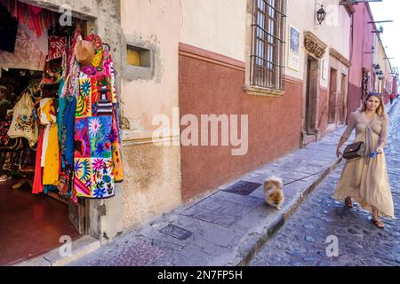 San Miguel de Allende Guanajuato Messico, Historico Centro storico zona Centro, Arte Mexicano, tessuti artigianali Otomi Tenango ricamo, cane PET Foto Stock