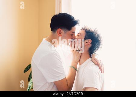 Coppia gay che si bacia romanticamente in bocca, nel soggiorno. Relazione e routine LGBT. Foto Stock
