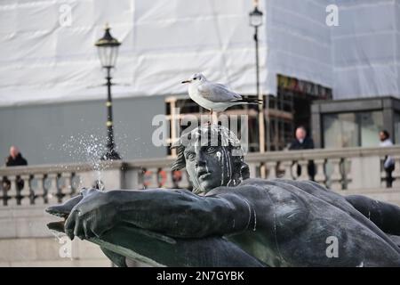 Londra, Regno Unito. 10 febbraio 2023. Attrazione turistica a Trafalgar Square, Londra, Regno Unito. Credit: Vedi li/Picture Capital/Alamy Live News Foto Stock