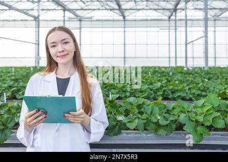ritratto scienziato in grande casa verde agricoltura fragola biologica fattoria per la ricerca di piante lavoratrice donna. Foto Stock
