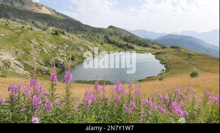 Laghi dell'Alpe d'Huez, Isere, Bourgogne-Rhone-Alpes , francia Foto Stock