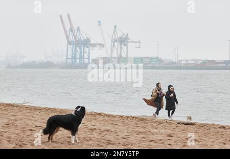 Amburgo, Germania. 11th Feb, 2023. Gli escursionisti Isabella e Vanessa camminano con il loro cane Rosa (r) lungo la spiaggia dell'Elba a Övelgönne sotto il cielo coperto e la pioggia leggera. Gru e container dal porto di Amburgo sono visibili sullo sfondo. Credit: Georg Wendt/dpa/Alamy Live News Foto Stock