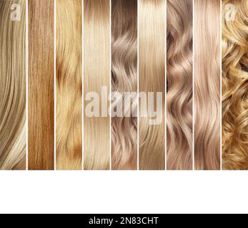 Collage di campioni di colore di capelli biondi. Colorazione dei capelli. Tintura per capelli Foto Stock