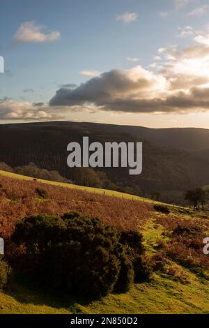 Vista dall'Horseshoe Pass, vicino a Llangollen, in Galles, con luce del sole di prima mattina Foto Stock