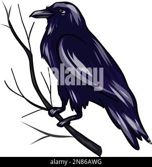 Nero Raven. Illustrazione vettoriale di una corvo. EPS10 Illustrazione Vettoriale