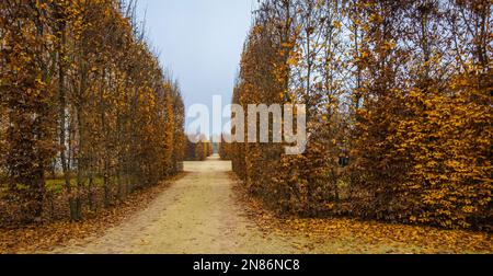 Vista panoramica sui giardini di Venaria reale in autunno - Torino, Piemonte nel nord Italia - Europa Foto Stock